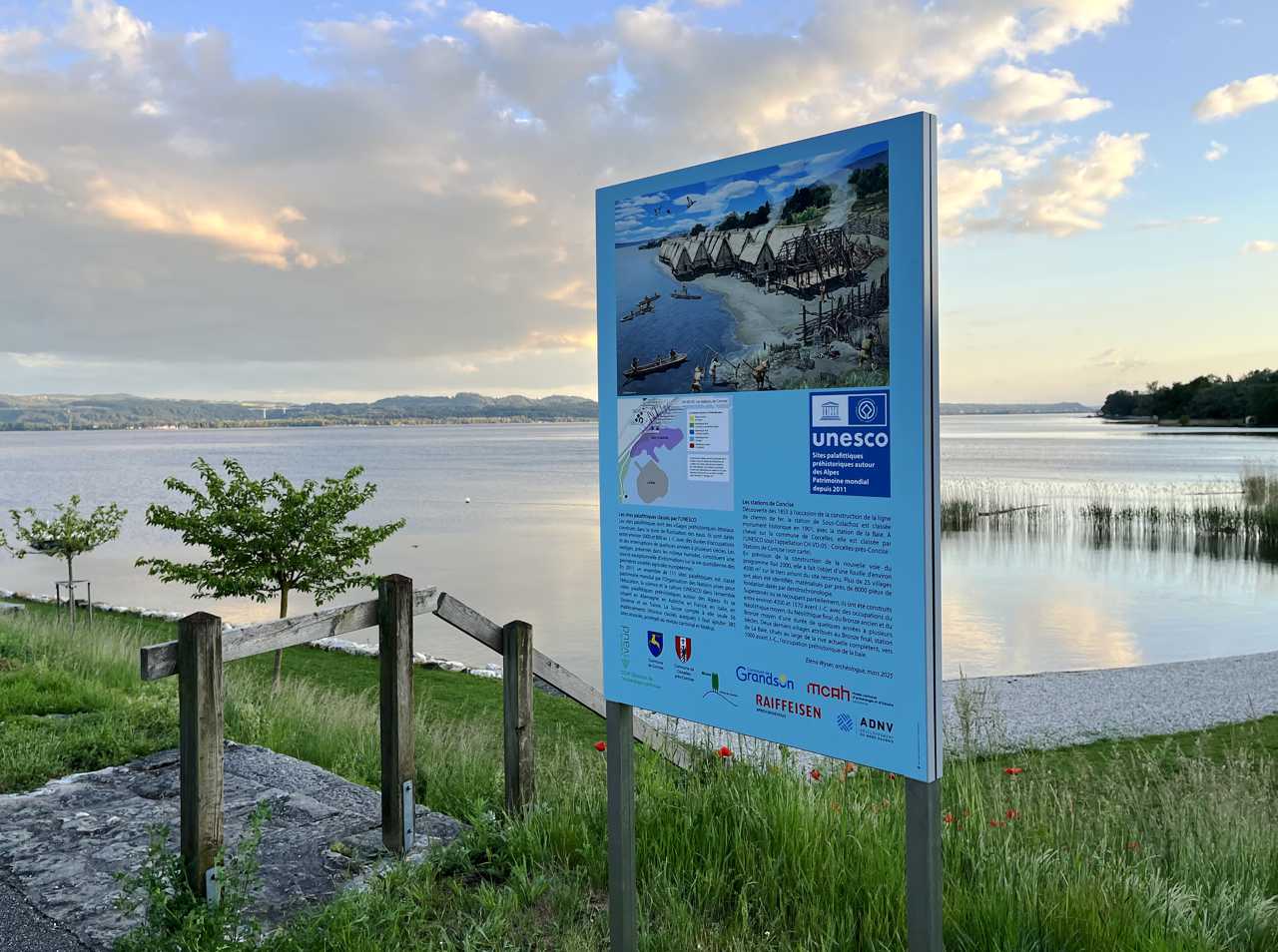 Dessin de Cecilia Bozzoli